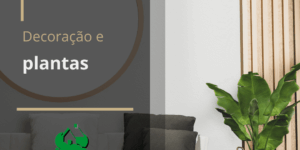 plantas